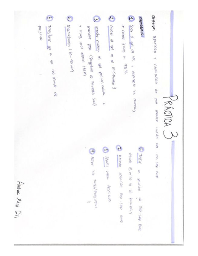 Miniatura del documento Resumen-grafico-Practica-3.pdf