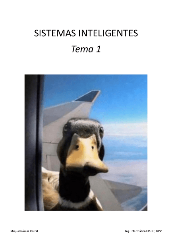 Miniatura del documento SIN-Tema-1.pdf