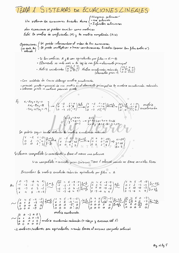 Miniatura del documento AL T1. Sistemas ecuaciones lineales.pdf