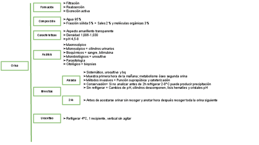 Miniatura del documento UT-7-ESQUEMA-MUESTRAS-DE-EXCRECIONES-Y-SECRECIONES.pdf