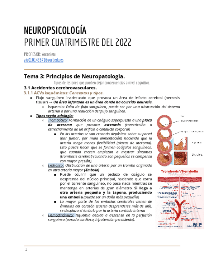 Miniatura del documento Tema-3-Principios-de-Neuropatologia.pdf