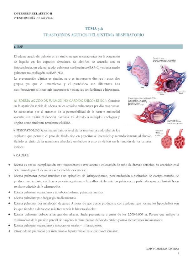 Miniatura del documento TEMA-3.6-ADULTO-II.pdf