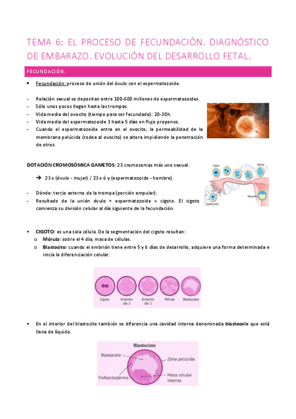 Miniatura del documento Tema-6-Salud-reproductiva.pdf