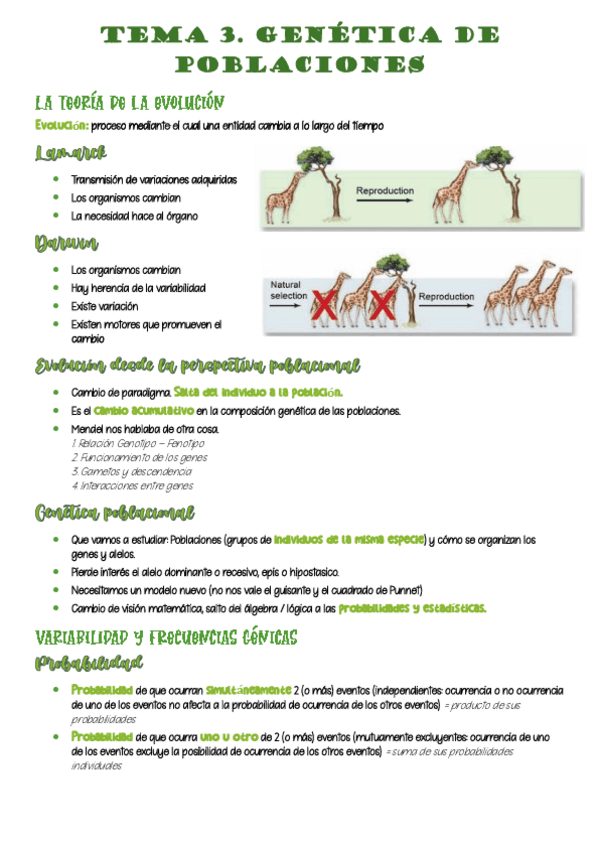 Miniatura del documento 3-genetica-poblaciones.pdf