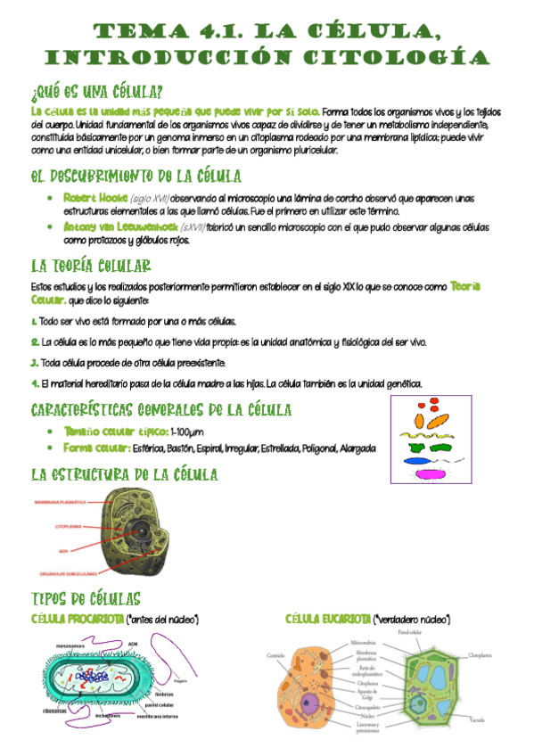 Miniatura del documento 4-celula-citologia.pdf