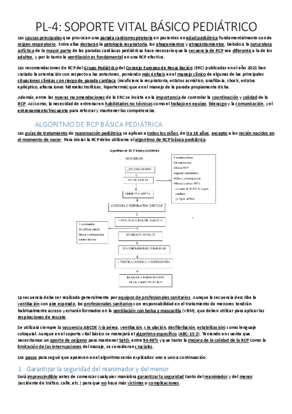 Miniatura del documento PL-4.-RCP-basica.pdf