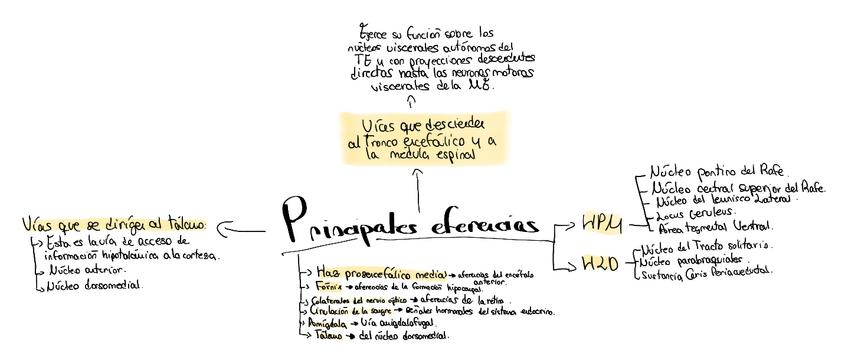 Miniatura del documento Principales-eferencias.pdf