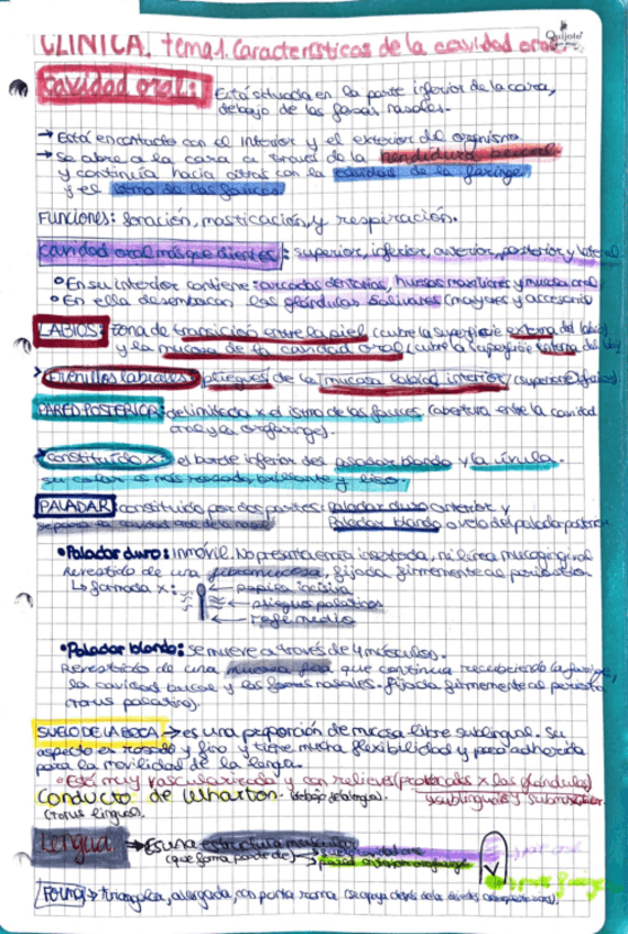 Miniatura del documento CARACTERISTICAS-Y-NOMENCLATURA-CAVIDAD-ORAL.pdf