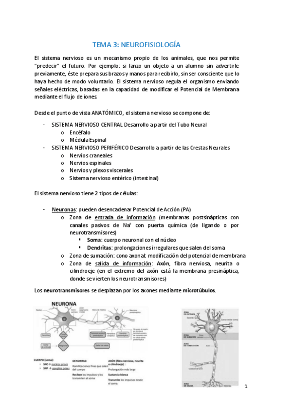 Miniatura del documento Tema-3.pdf