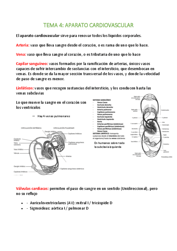 Miniatura del documento Tema-4.pdf