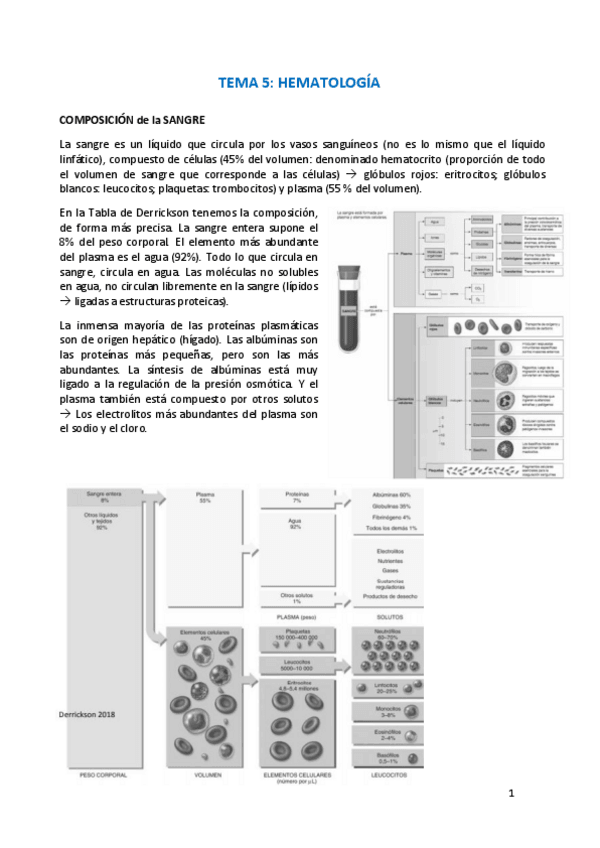 Miniatura del documento Tema-5.pdf