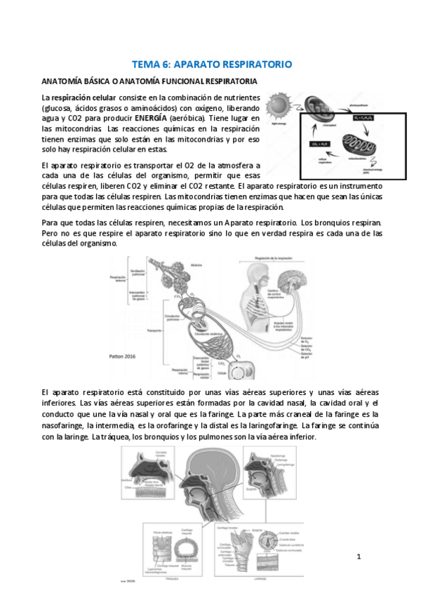 Miniatura del documento Tema-6.pdf