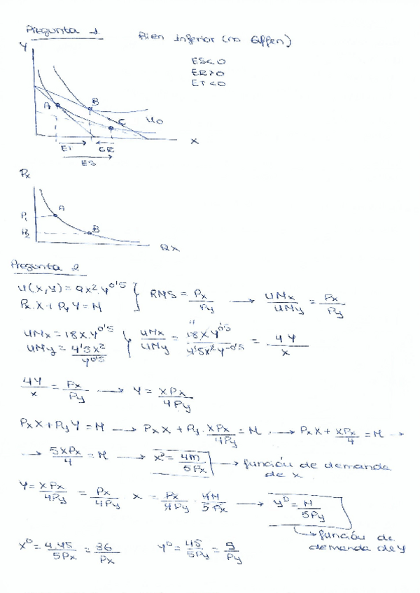 Miniatura del documento PRUEBA.pdf