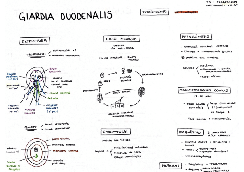 Miniatura del documento Tema-5.pdf