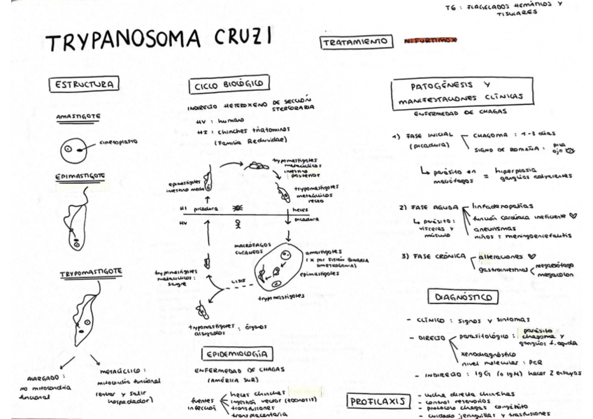 Miniatura del documento Tema-6.pdf