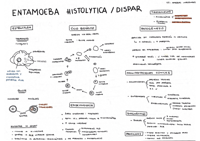 Miniatura del documento Tema-7.pdf