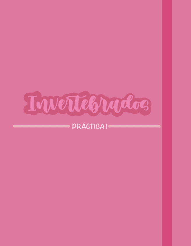 Miniatura del documento Primera-Practica-Zoologia-INVERTEBRADOS.pdf