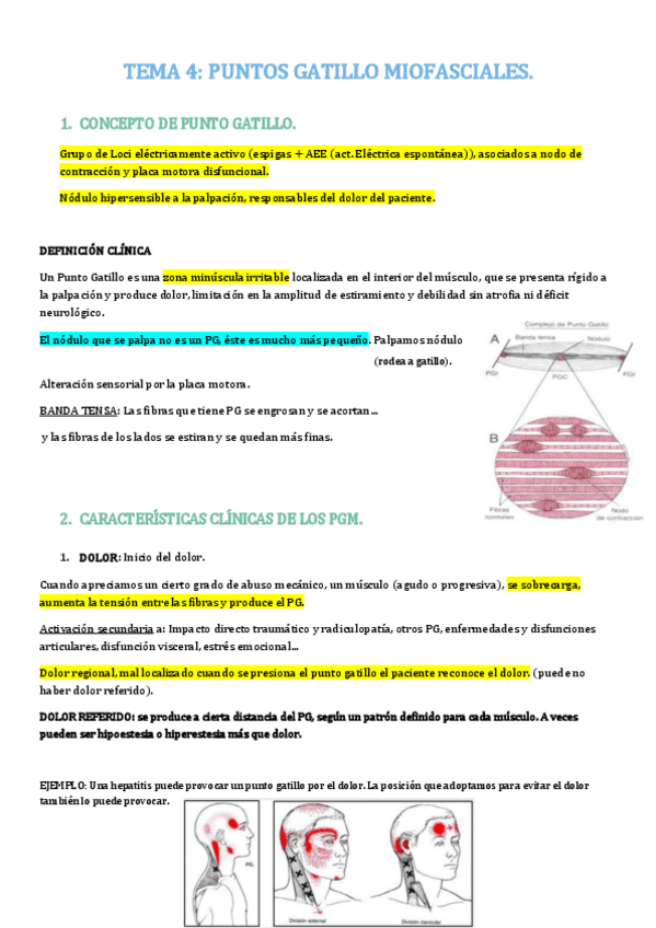 Miniatura del documento MASO-TEMA-4.pdf