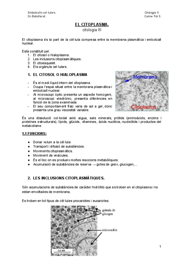 Miniatura del documento EL-CITOPLASMA.pdf