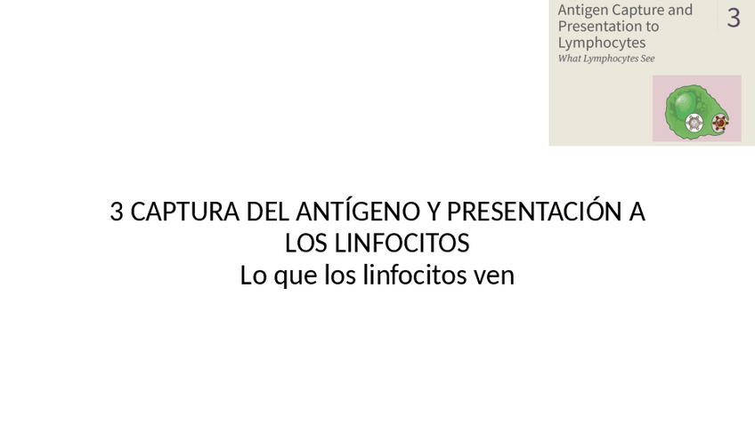 Miniatura del documento 3-CAPTURA-DEL-ANTAGENO-Y-PRESENTACIAN-A-LOS-LINFOCITOS.pdf