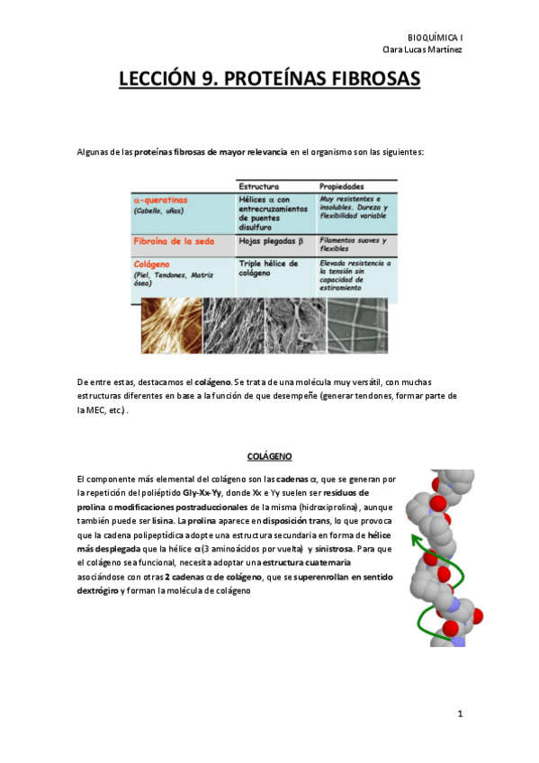 Miniatura del documento LECCION-9.-Proteinas-fibrosas.pdf