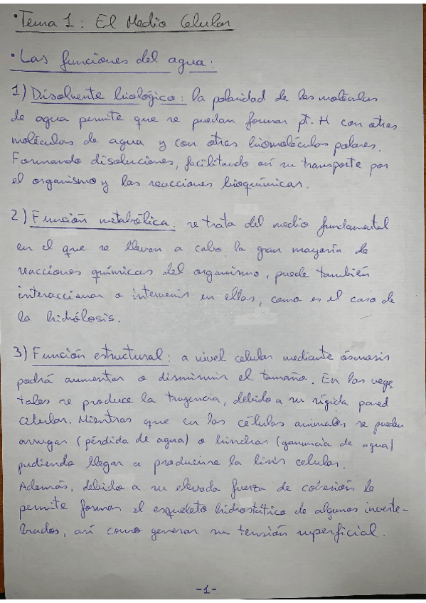 Miniatura del documento TEMA-1-RESUMEN.pdf
