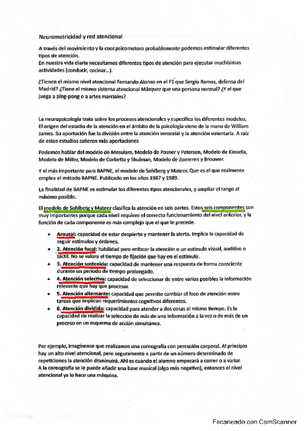 Miniatura del documento Red-atencional.pdf