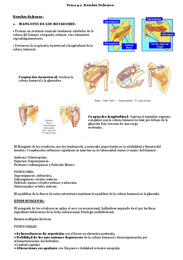 Miniatura del documento Tema-9.2..pdf