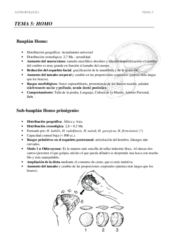 Miniatura del documento TEMA-5-Genero-Homo-Completo.pdf
