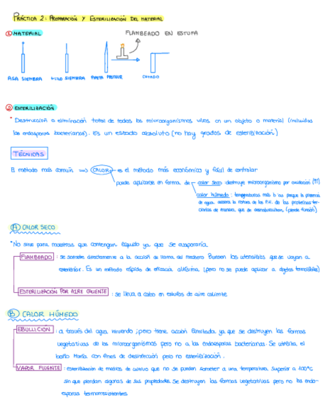 Miniatura del documento Resumen-practicas-microbiologia-23-24.pdf