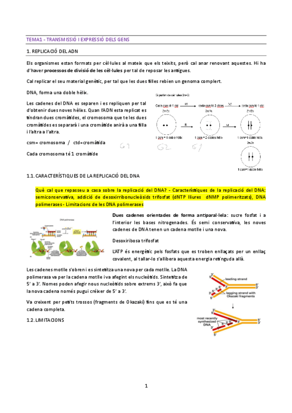 Miniatura del documento Apunts-de-classe.-Biologia-Cellular.pdf