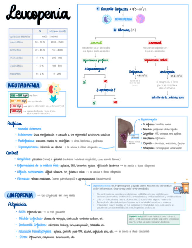 Miniatura del documento Leucopenia-y-aplasia-medular.pdf