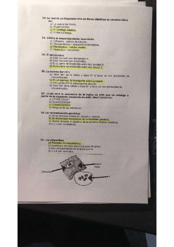 Miniatura del documento examen-biologia.pdf