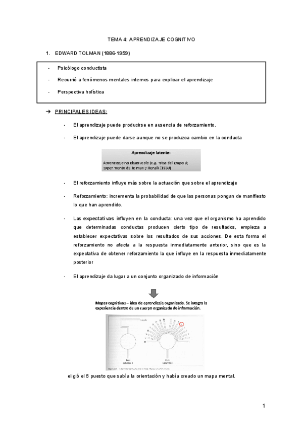 Miniatura del documento TEMA-4-APRENDIZAJE-COGNITIVO.pdf