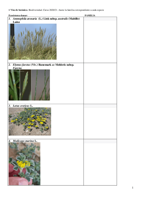 Miniatura del documento VISUBOTANICAbiodiversidad-2021-2.pdf