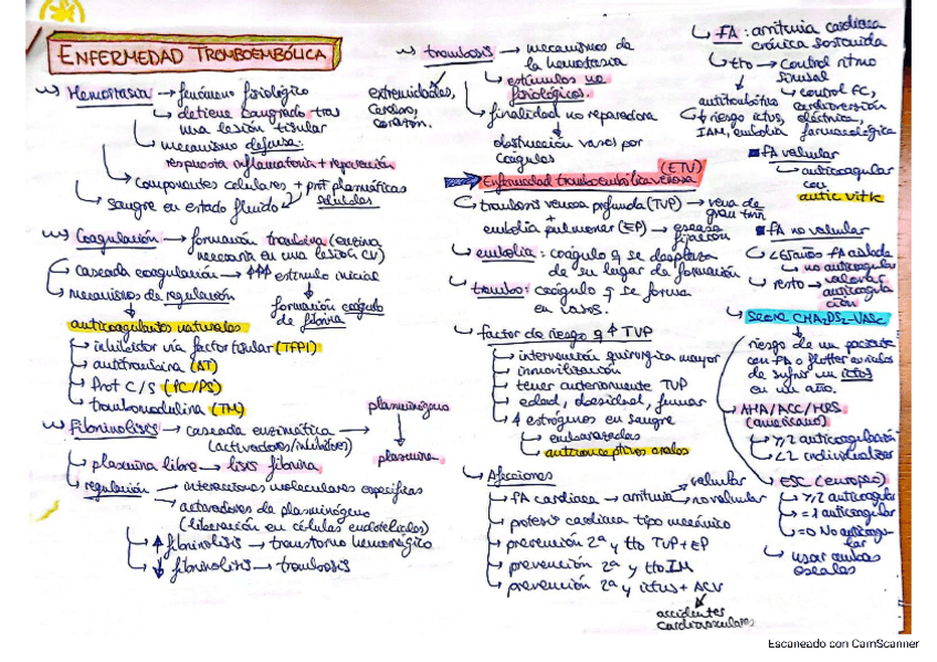 Miniatura del documento enfermedad-tromboembolica.pdf