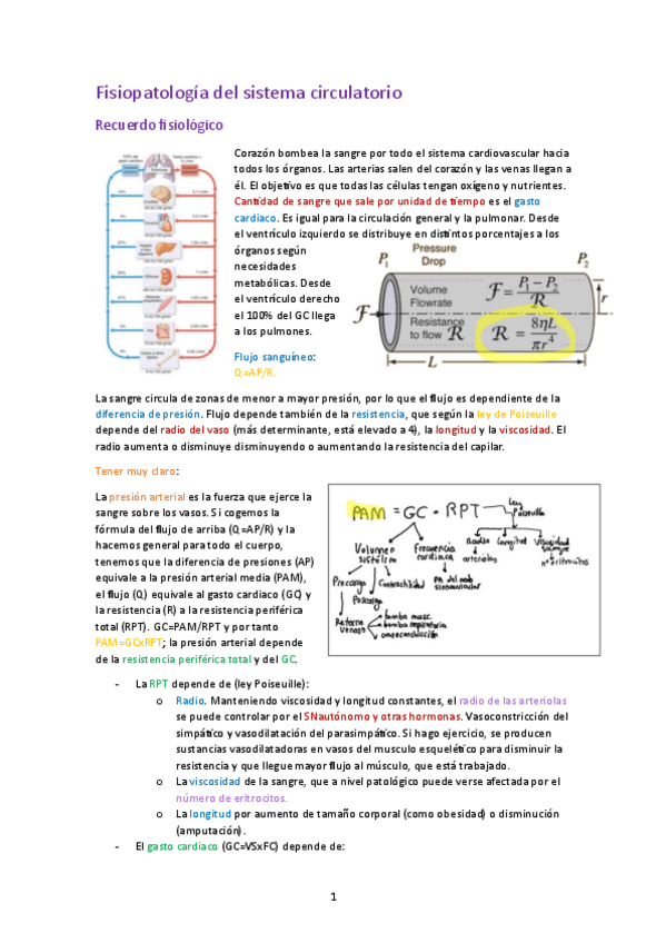 Miniatura del documento Cardiovascular.pdf