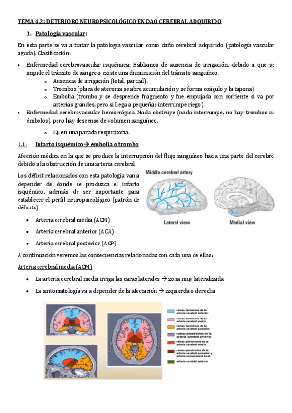 Miniatura del documento TEMA-4.2.-NEURO-CLINICA.pdf