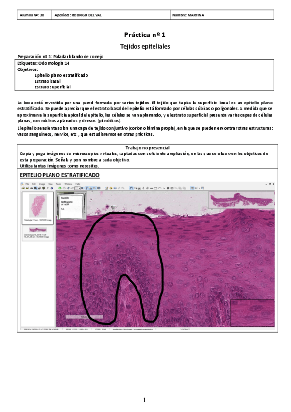 Miniatura del documento PRACTICA-01.pdf