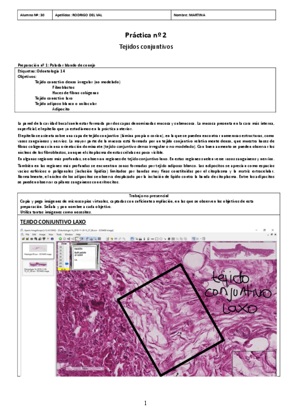Miniatura del documento PRACTICA-02.pdf
