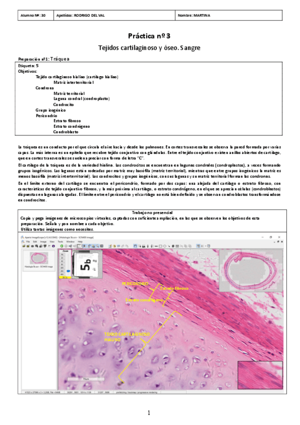 Miniatura del documento PRACTICA-03.pdf