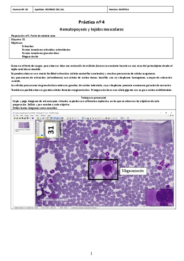 Miniatura del documento PRACTICA-04.pdf
