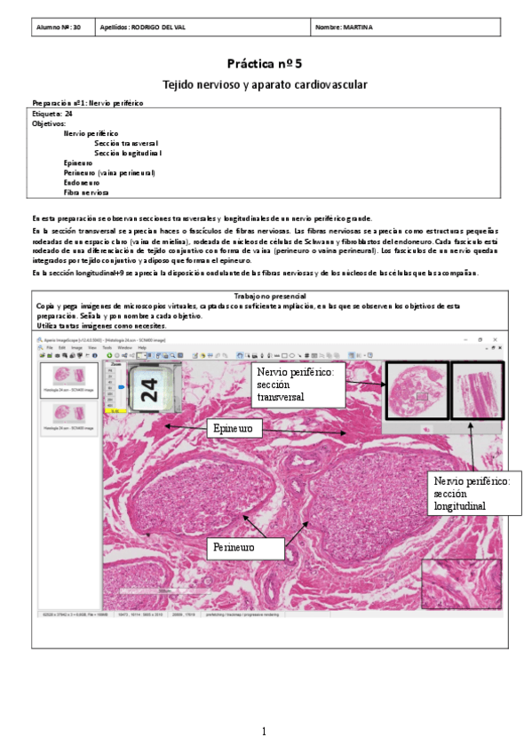 Miniatura del documento PRACTICA-05.pdf