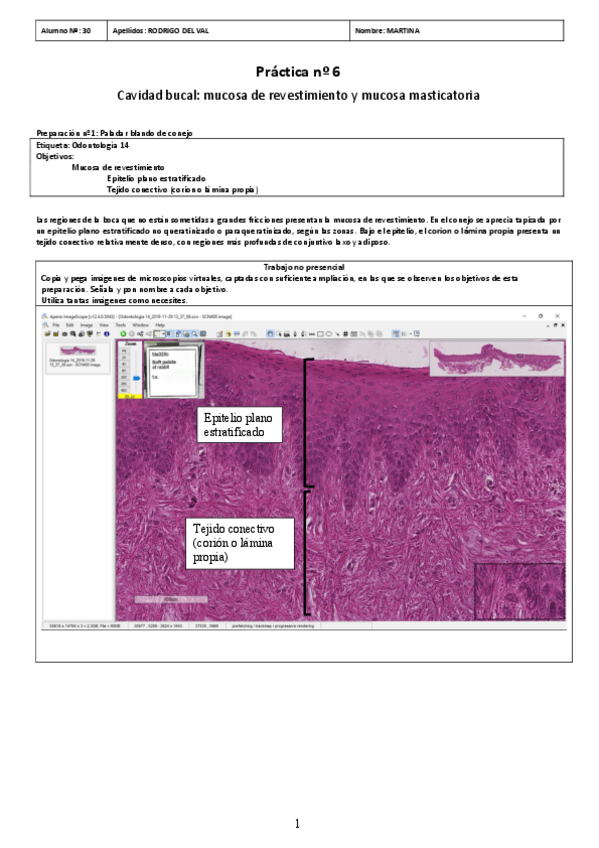 Miniatura del documento PRACTICA-06.pdf