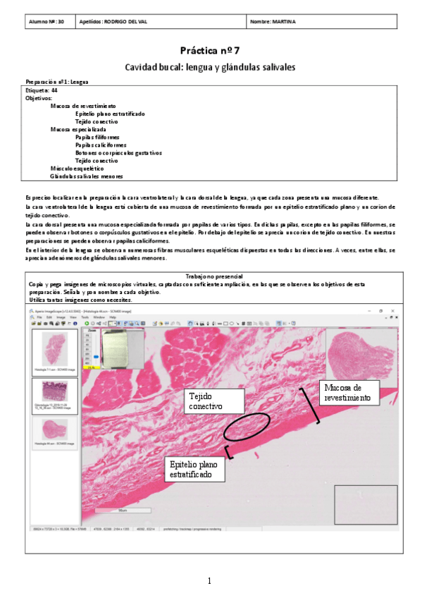 Miniatura del documento PRACTICA-07.pdf