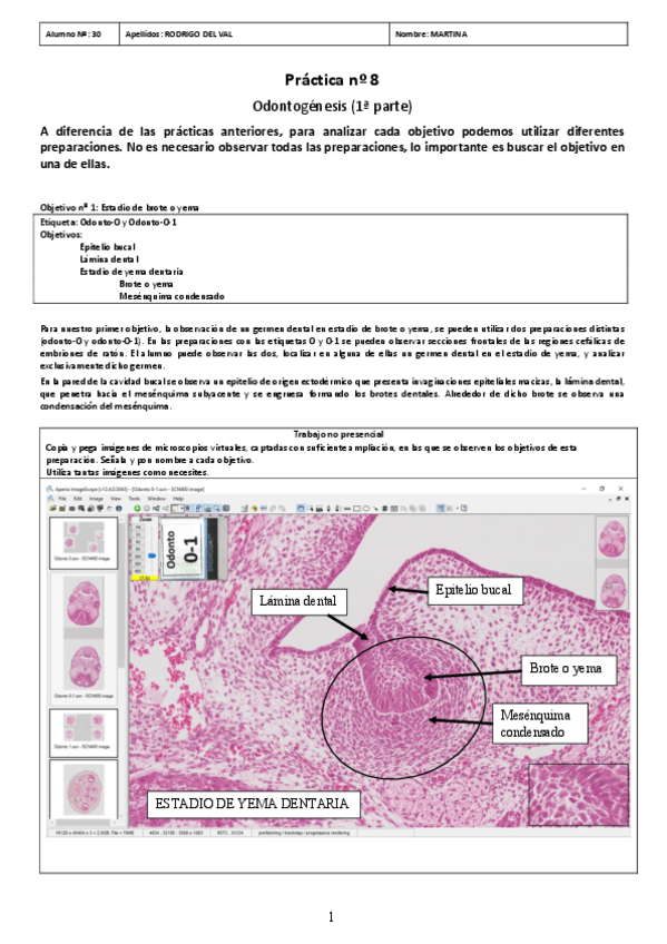 Miniatura del documento PRACTICA-08.pdf