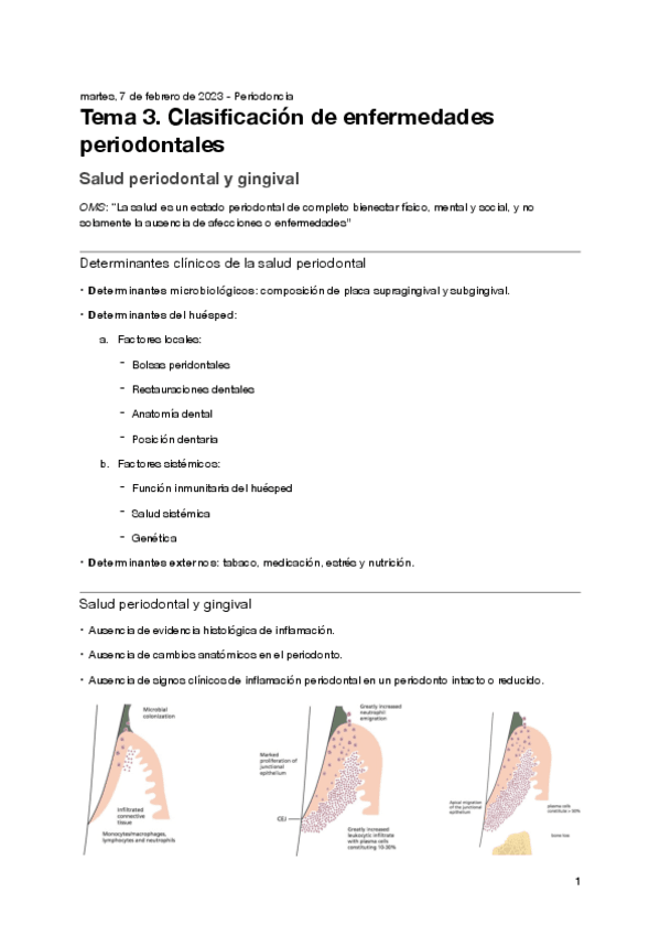 Miniatura del documento Tema-3.-Periodoncia.pdf