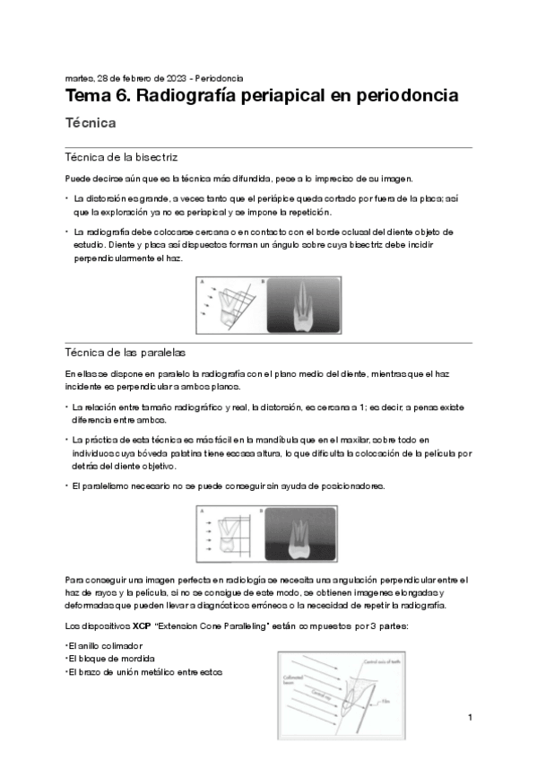 Miniatura del documento Tema-6.-Periodoncia.pdf