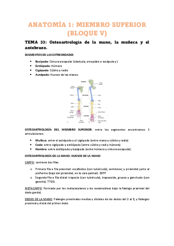 Miniatura del documento Apuntes-miembro-superior-bloque-V.pdf