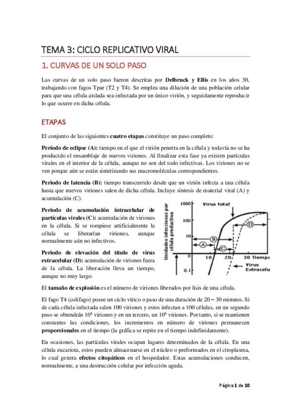 Miniatura del documento TEMA3cicloreplicativo.pdf